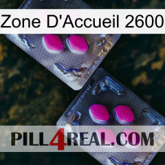 Home Zone 2600 01